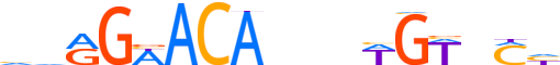 ANDR.H12CORE.0.P.B reverse-complement motif logo (AR gene, ANDR_HUMAN protein)
