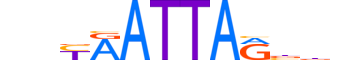 ARX.H12CORE.1.SM.B motif logo (ARX gene, ARX_HUMAN protein)