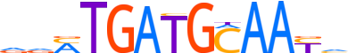 ATF4.H12CORE.0.P.B motif logo (ATF4 gene, ATF4_HUMAN protein)
