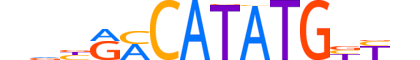 ATOH1.H12CORE.1.SM.B motif logo (ATOH1 gene, ATOH1_HUMAN protein)