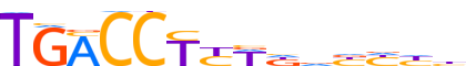 COT2.H12CORE.0.P.B reverse-complement motif logo (NR2F2 gene, COT2_HUMAN protein)