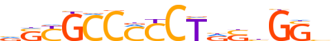 CTCFL.H12CORE.0.P.B reverse-complement motif logo (CTCFL gene, CTCFL_HUMAN protein)