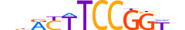 ETS1.H12CORE.0.S.B reverse-complement motif logo (ETS1 gene, ETS1_HUMAN protein)