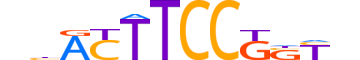 ETV3.H12CORE.0.SM.B reverse-complement motif logo (ETV3 gene, ETV3_HUMAN protein)