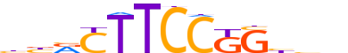 ETV5.H12CORE.1.PM.A reverse-complement motif logo (ETV5 gene, ETV5_HUMAN protein)