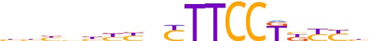 FLI1.H12CORE.1.P.B reverse-complement motif logo (FLI1 gene, FLI1_HUMAN protein)