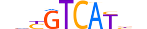 FOS.H12CORE.1.S.C motif logo (FOS gene, FOS_HUMAN protein)