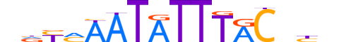 FOXA2.H12CORE.1.SM.B motif logo (FOXA2 gene, FOXA2_HUMAN protein)