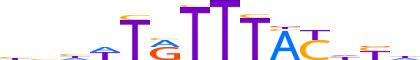 FOXC1.H12CORE.1.S.C motif logo (FOXC1 gene, FOXC1_HUMAN protein)