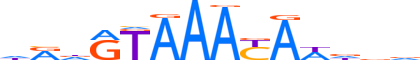 FOXC1.H12CORE.1.S.C reverse-complement motif logo (FOXC1 gene, FOXC1_HUMAN protein)