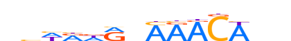 FOXD3.H12CORE.0.P.C reverse-complement motif logo (FOXD3 gene, FOXD3_HUMAN protein)