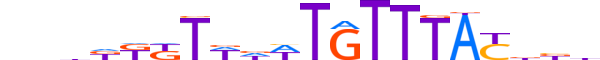 FOXJ2.H12CORE.2.S.B motif logo (FOXJ2 gene, FOXJ2_HUMAN protein)