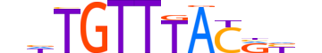 FOXJ3.H12CORE.0.SM.B motif logo (FOXJ3 gene, FOXJ3_HUMAN protein)