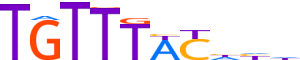 FOXK1.H12CORE.0.PS.A motif logo (FOXK1 gene, FOXK1_HUMAN protein)