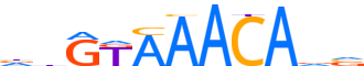 FOXK2.H12CORE.0.P.B reverse-complement motif logo (FOXK2 gene, FOXK2_HUMAN protein)