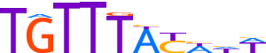 FOXL2.H12CORE.0.PSM.A motif logo (FOXL2 gene, FOXL2_HUMAN protein)