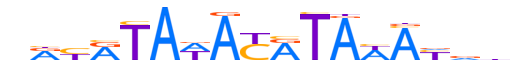 FOXR2.H12CORE.0.M.C reverse-complement motif logo (FOXR2 gene, FOXR2_HUMAN protein)