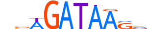 GATA1.H12CORE.1.PSM.A motif logo (GATA1 gene, GATA1_HUMAN protein)