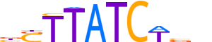 GATA1.H12CORE.1.PSM.A reverse-complement motif logo (GATA1 gene, GATA1_HUMAN protein)