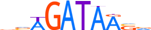 GATA2.H12CORE.0.PSM.A motif logo (GATA2 gene, GATA2_HUMAN protein)