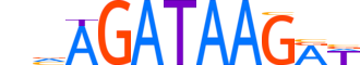 GATA3.H12CORE.1.SM.B motif logo (GATA3 gene, GATA3_HUMAN protein)