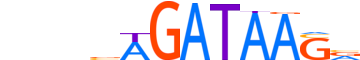 GATA6.H12CORE.0.PSM.A motif logo (GATA6 gene, GATA6_HUMAN protein)