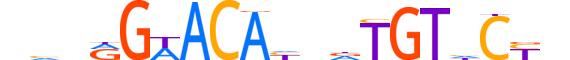 GCR.H12CORE.0.PS.A reverse-complement motif logo (NR3C1 gene, GCR_HUMAN protein)