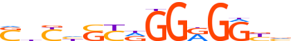 GLIS1.H12CORE.0.P.B motif logo (GLIS1 gene, GLIS1_HUMAN protein)