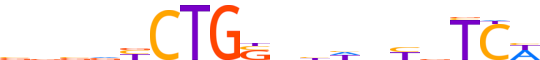 HAND2.H12CORE.0.P.B motif logo (HAND2 gene, HAND2_HUMAN protein)