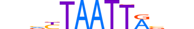 HME1.H12CORE.0.PSM.A reverse-complement motif logo (EN1 gene, HME1_HUMAN protein)