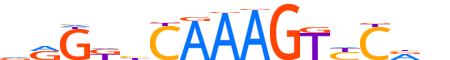 HNF4A.H12CORE.0.PSM.A motif logo (HNF4A gene, HNF4A_HUMAN protein)