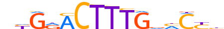 HNF4A.H12CORE.0.PSM.A reverse-complement motif logo (HNF4A gene, HNF4A_HUMAN protein)