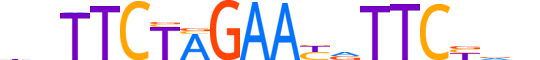 HSF1.H12CORE.0.PSM.A reverse-complement motif logo (HSF1 gene, HSF1_HUMAN protein)