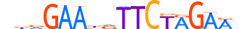 HSF2.H12CORE.0.PSM.A motif logo (HSF2 gene, HSF2_HUMAN protein)