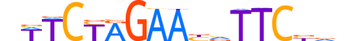 HSF2.H12CORE.0.PSM.A reverse-complement motif logo (HSF2 gene, HSF2_HUMAN protein)