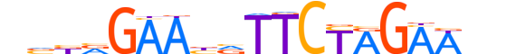 HSF4.H12CORE.0.SM.B motif logo (HSF4 gene, HSF4_HUMAN protein)