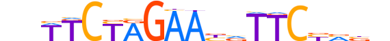 HSF4.H12CORE.0.SM.B reverse-complement motif logo (HSF4 gene, HSF4_HUMAN protein)