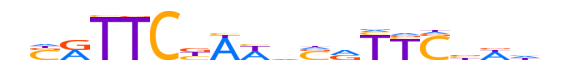 HSFY1.H12CORE.2.M.B motif logo (HSFY1 gene, HSFY1_HUMAN protein)