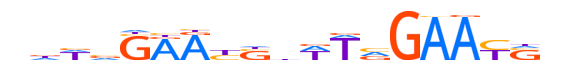 HSFY1.H12CORE.2.M.B reverse-complement motif logo (HSFY1 gene, HSFY1_HUMAN protein)