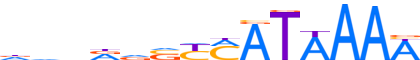 HXA11.H12CORE.0.PS.A reverse-complement motif logo (HOXA11 gene, HXA11_HUMAN protein)