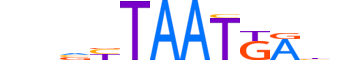 HXA4.H12CORE.0.SM.B motif logo (HOXA4 gene, HXA4_HUMAN protein)