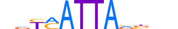 HXA5.H12CORE.0.SM.B reverse-complement motif logo (HOXA5 gene, HXA5_HUMAN protein)