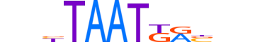 HXA6.H12CORE.0.SM.B motif logo (HOXA6 gene, HXA6_HUMAN protein)