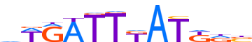 HXA9.H12CORE.0.P.B motif logo (HOXA9 gene, HXA9_HUMAN protein)