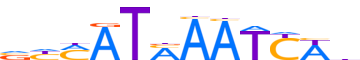 HXA9.H12CORE.0.P.B reverse-complement motif logo (HOXA9 gene, HXA9_HUMAN protein)