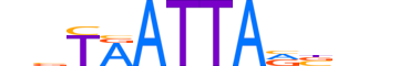 HXB1.H12CORE.0.SM.B reverse-complement motif logo (HOXB1 gene, HXB1_HUMAN protein)