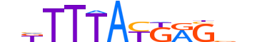 HXB13.H12CORE.0.PS.A motif logo (HOXB13 gene, HXB13_HUMAN protein)