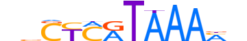 HXB13.H12CORE.0.PS.A reverse-complement motif logo (HOXB13 gene, HXB13_HUMAN protein)