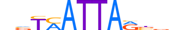 HXB2.H12CORE.0.SM.B reverse-complement motif logo (HOXB2 gene, HXB2_HUMAN protein)