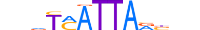 HXB4.H12CORE.1.PSM.A reverse-complement motif logo (HOXB4 gene, HXB4_HUMAN protein)